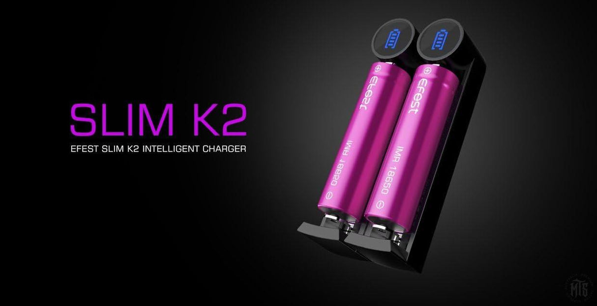 Efest battery charger-Tattoo Supplies-Cheyenne-Melbourne Tattoo Supplies