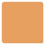 Rember Signature Series 10 Color Set - Eternal Ink-tattoo ink-Eternal Ink-Melbourne Tattoo Supplies