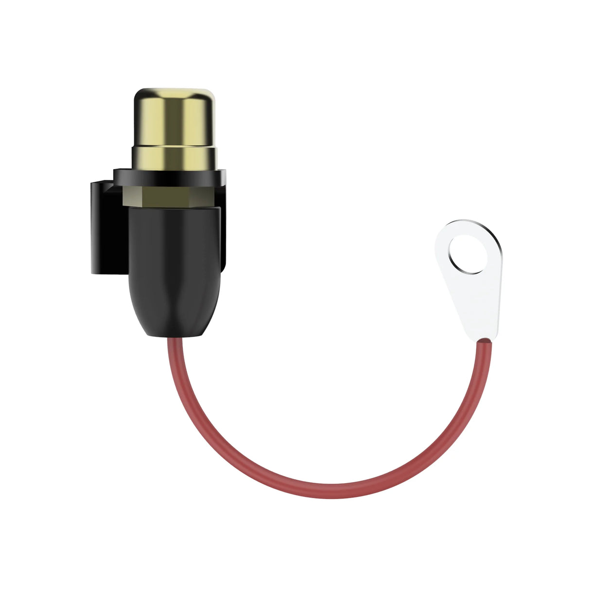 Eikon RCA Conversion - Direct connection RCA plug