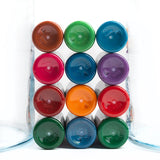 Solid Ink Chris Garver 1oz set 12 colors tattoo ink